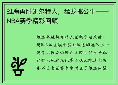 雄鹿再胜凯尔特人，猛龙擒公牛——NBA赛季精彩回顾