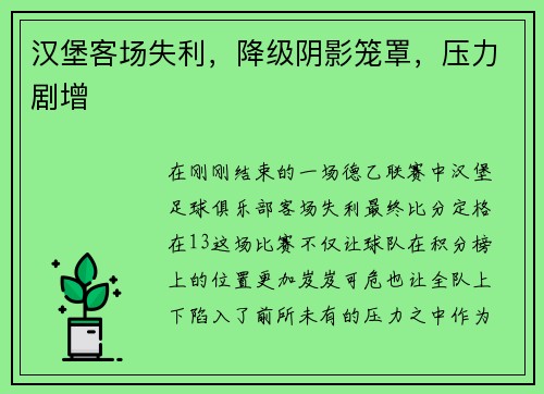 汉堡客场失利，降级阴影笼罩，压力剧增